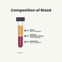 Composition of Blood in test tubes vector