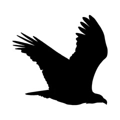 silhouette of a eagle