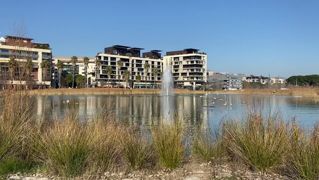 Bassin Jacques C&oelig;ur &agrave; Montpellier, Occitanie