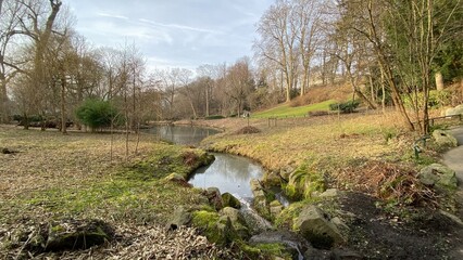 La v&eacute;g&eacute;tation autour des &eacute;tangs en hiver au parc Josaphat &agrave; Schaerbeek 