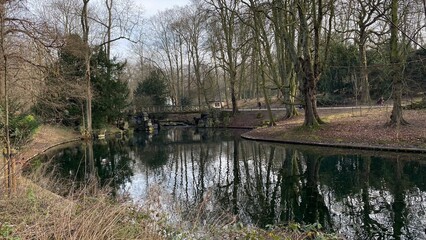 Fototapeta na wymiar Reflet à l'un des étangs entouré de végétation luxuriante en hiver au parc Josaphat à Schaerbeek 