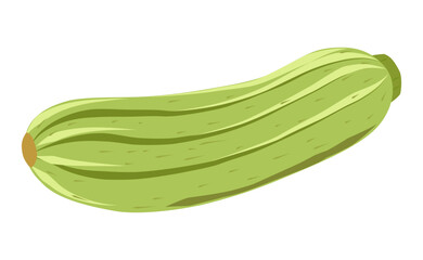 Vegetable marrow. Vector graphics. Green zucchini vegetable with stripes. Isolated icon on white background. Cartoon illustration, flat style. Squash, menu element, food illustration.