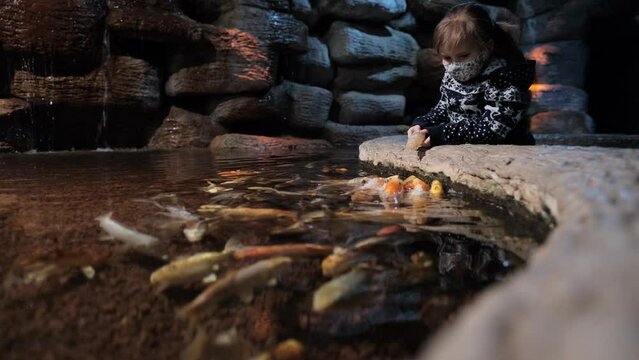 A child feeds a fish from a bottle in an aquarium