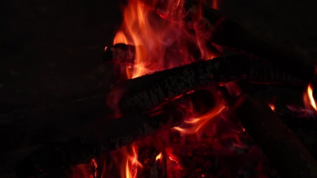 Video of fire with firewood. 