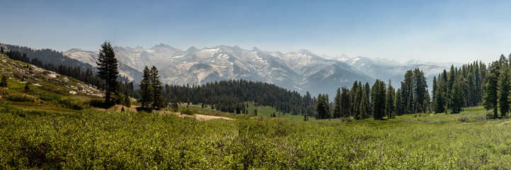 Panorama of Alta Meadow and the Sierra Mountains