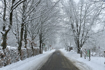 Obraz premium Route sous un décor féérique en fin de journée dans les Hautes Fagnes à Waimes 