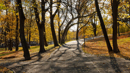 autumn park, photo of autumn trees in the park