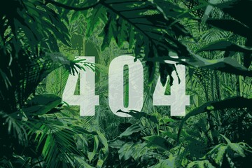 Error 404 page not found. Lost in the jungle.