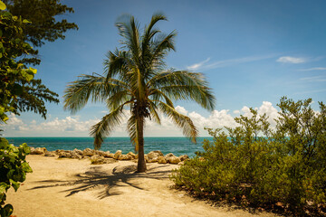 Fototapeta na wymiar Fort Zachary Beach, Key West in the Florida Keys