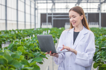 Scientist work collecting record plant farm grow data in computer database for agriculture research...