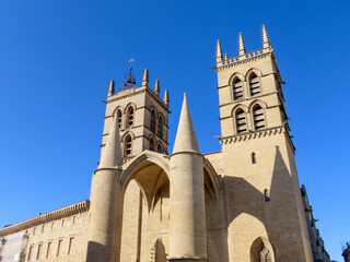 Cathédrale Saint-Pierre à Montpellier, Occitanie - obrazy, fototapety, plakaty