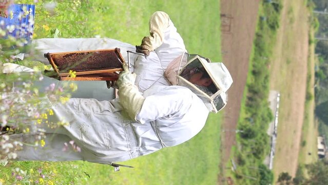 apicultores sacando miel de cuadros con cera en una centrifugadora en el campo
