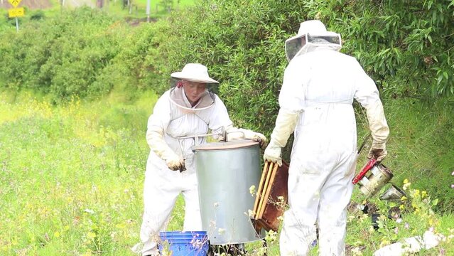 Hombre y mujer apicultores procesando la miel de abeja en el campo