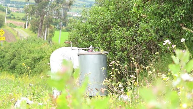 mujer apicultora acomodando la maquina centrifugadora para extraer la miel en el campo