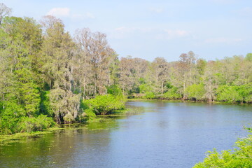 The Spring landscape of Hillsborough river and Lettuce park at Tampa, Florida
