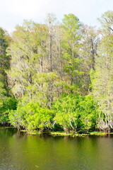 The Spring landscape of Hillsborough river and Lettuce park at Tampa, Florida