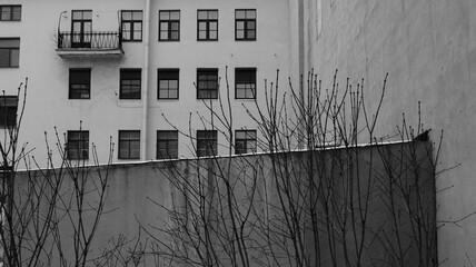 Gloomy urban landscape: dry branches against the background of plain walls and windows