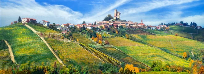 Poster Autumn scenery. Serralunga d'alba village in Piemonte (Piedmont) with vast fields of vineyards. famous wine region of Italy © Freesurf