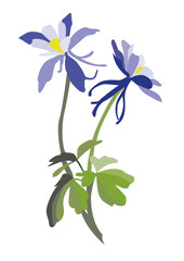 blue flowers isolated on white background