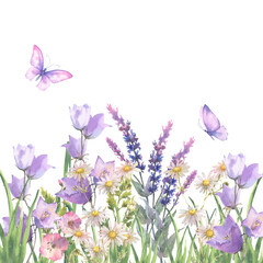Obraz na płótnie Canvas Watercolor composition, border with Herbs and wild flowers, leaves, butterflies. Botanical Illustration on white background. Template with place for text