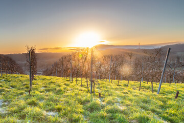 Winter view during sunrise of a famous wine valley in Maastricht with a beautiful cloudscape and...