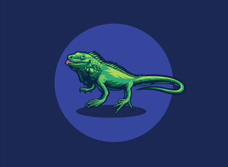 Iguana animal vector illustration