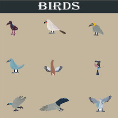 Set of different birds vector file