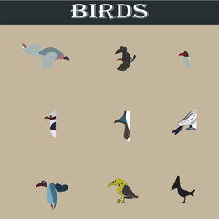 Set of different birds vector file