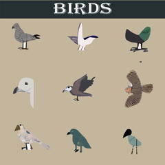 Obraz premium Set of different birds vector file