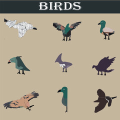 Set of different birds vector file