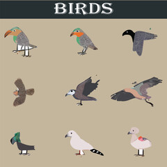 Set of different birds vector file