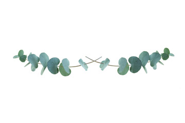 Eucalyptus isoliert on transparent background. Flower garland of eucalyptus branches. Top view flat lay. Background for wedding concepts with space for text. PNG image.