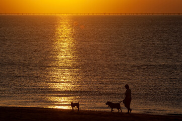 Walking along Chesapeake Bay at sunset; Virginia Beach, Virginia