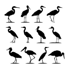 Set of stork logo design template
