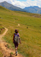 Fototapeta na wymiar woman walks on the path in the mountains in summer