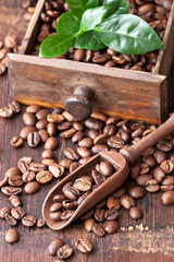 Roasted coffee beans