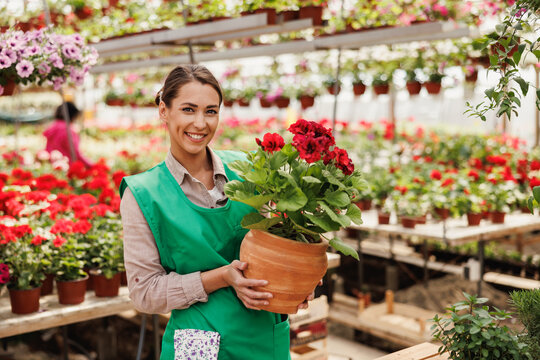Greenhouse Worker With Flowers