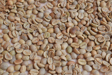 Unripe coffee beans, background with coffee beans