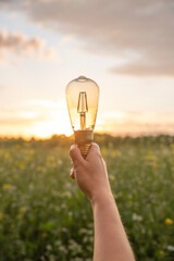 light bulb in hand