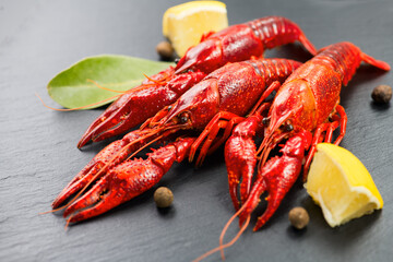 Crayfish, clawfish, crawfish closeup. Red boiled crayfishes with herbs and lemon on stone slate dark background. Crawfishes. Fresh Lobster closeup. 