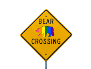 Rainbow gay pride flag bear crossing highway sign with cut out background.