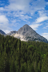 Picturesque mountain landscapes in summer, inviting for hiking with views of the highest peaks of the Alps. Mountain sports enthusiasts and hikers immediately have wanderlust