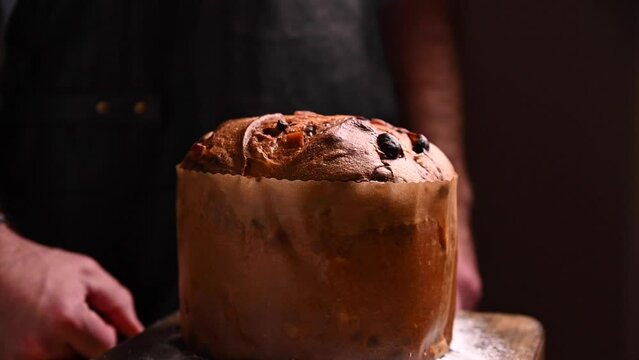 Panettone of Milan. Sweet festive bread sprinkled with icing sugar. Traditional Italian pastries for Christmas with dried fruits and almonds. 