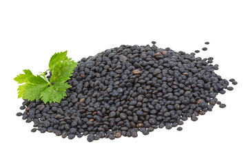 Black lentils