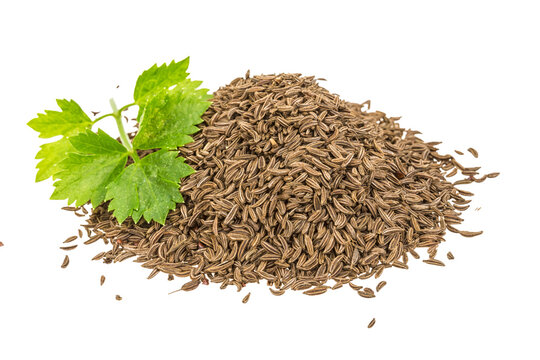 caraway seeds