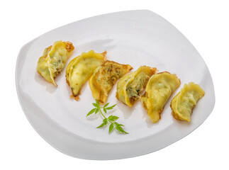 Japan dumplings - gyoza