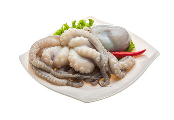 Raw octopus