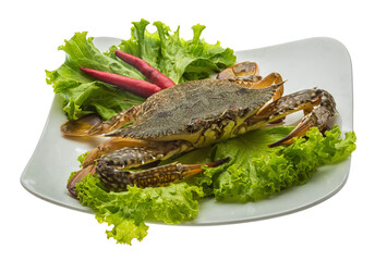 Raw crab