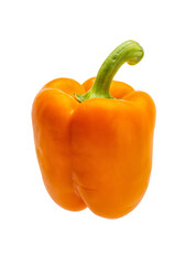 Orange Bulgarian pepper