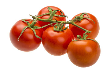 Red ripe tomatoes on the branch